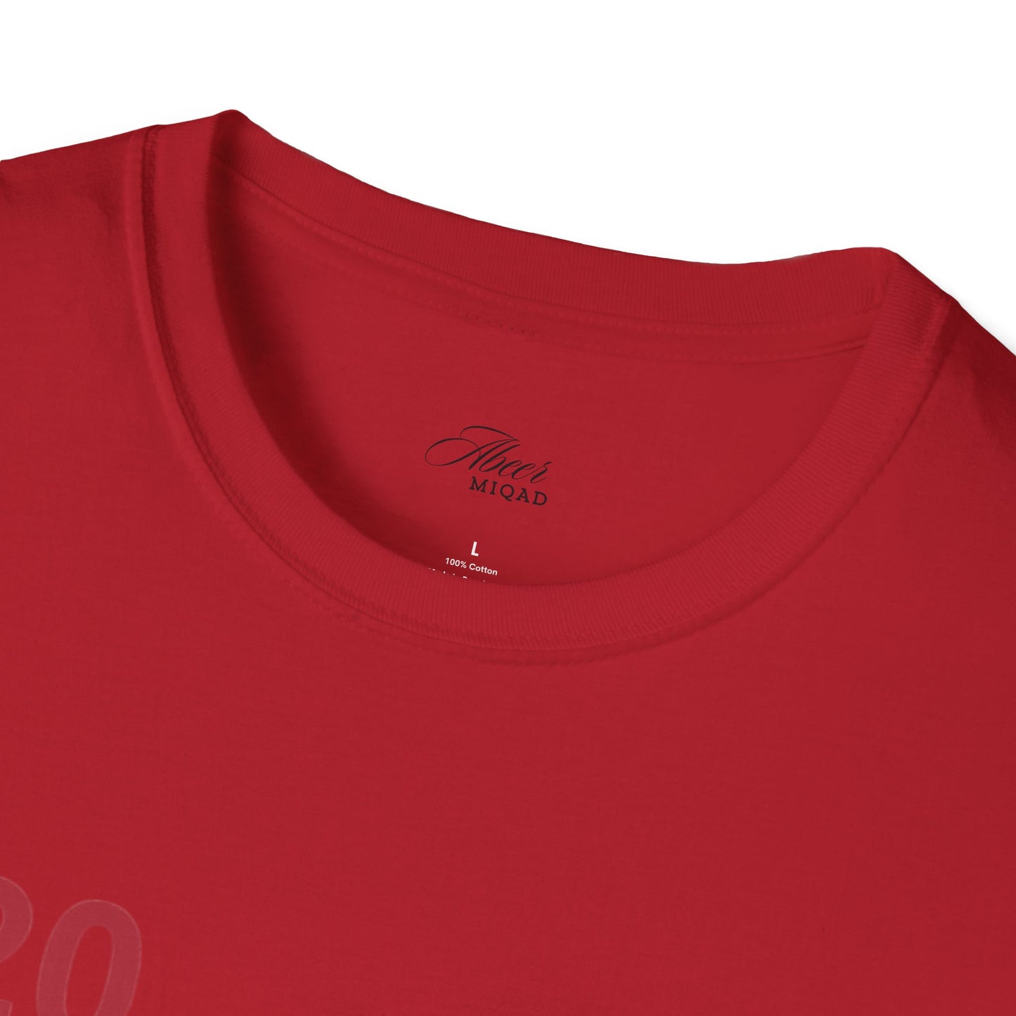 Japanese Temple Graphic Unisex T-Shirt - Osaka Design